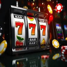 bet559