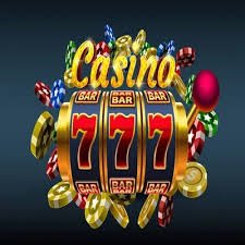 bet559