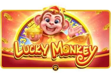 bet559